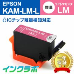 Gv\ EPSON ݊CN KAM-LM-L Cg}[^ v^[CN J