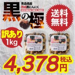 ɂɂ 󂠂 XYnɂɂ ̋ 1kg(500g~2Jbv) Y XY nzCgZЎ Hi  hCt[co