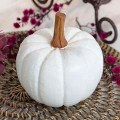 IuWF pvL MTCY zCg  nEB NX}X W 12cm H 10cm D 13cm  ؒ DIY ڂ u fR[V