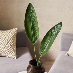 �t�F�C�N�O���[�� �ϗt�A�� �X�g�����`�A �X�g�����`�A���[�t �X�g���`�A �Ɋy���� �t �}�t�� ���]�[�g �I�u�W�F �g���s�J�� �f�B�X�v��