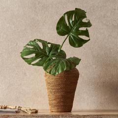 A tFCNO[ Xe tFCN lHϗtA A[gO[ Xe[t ][g IuWF gsJ fBXv