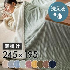 zc ` | 245~195cm R[fC n o[Vu LeBO {A uPbg ѕz  }`Jo[ x[W