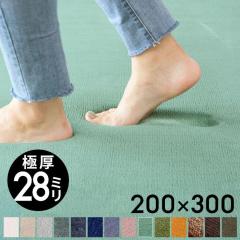 O}bg J[ybg ᔽ200~300cm O rOO }CNt@Co[ イ  28mm `  t100-200x300