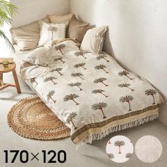 X[ Pbg Ђ | 唻 }` Jo[ u Rbg  100% ubN vg q V   ԉ \t@ rO  Q