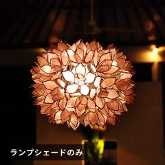 AWAG JsXVFy_gv p[v 4355