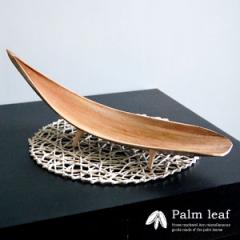 �A�W�A���G�� �p�[�����[�t�g���C �X�g���[�g�^�C�v �i�`������