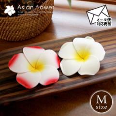 AWAG vA  CeAt[ Ԃт[J[ X^Cv