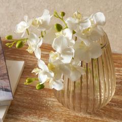 Ӓ  tFCNt[ A[eBtBVt[ t@mvVX ϗtA A[gt[ t[AWg tFCN 