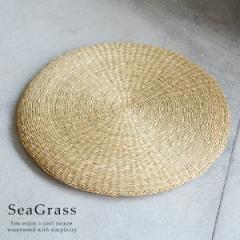 �A�W�A�����z�c �V�[�O���X�� �~�`���z�c