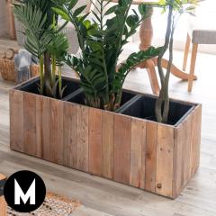 v^[Jo[ Ebhv^[{bNX Ebhv^[Jo[ ` 3 7p~3 Ci[|bgt [n-51]