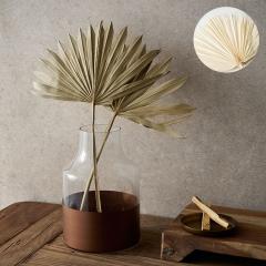 �h���C�t�����[ �t�@�� �p�[�� ���[�t �� W 35cm D 1cm H 55cm �p�[�� ���V ����55cm �h���C �v�����c �t�����[ �ԍ� �n���L���O �X���b