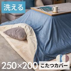 zcJo[ ` Jo[  W 250cm D 200cm H 1cm sN u[ AC{[ zcJo[ R[fC  [70120]