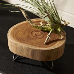 �f�R���[�V���� �g���C �r �t�� �� �� �A�C�A�� ���� �� �� �t�����[ �ϗt �A�� �f�B�X�v���C �v�����^�[ �X�^���h 14089