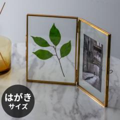 tHgt[ 2 2 nKLTCY nKLTCY ʐ^   ʐ^  j[ X^h fBXvC AeB[N  