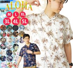 �A���n�V���c �����Y �傫���T�C�Y(3L 4L 5L�W�J) �J�݃V���c ���V���c �����V���c �I�[�v���J���[�V���c �A���n �V���c ���� ���[���� 