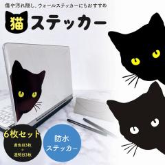 LXebJ[ 6Zbg JbeBO LYB  ԗpXebJ[ fR[V oCNJX^ EH[XebJ[ DIYfU