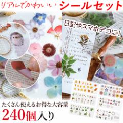 �X�e�b�J�[ �� 240�� ���킢�� �V�[�� ���A�� ��e�� �X�}�z �f�R �t���[�N�V�[�� ���� �\�� �t�����[ ���� ������� ���{�� �{�^�j�J�� 