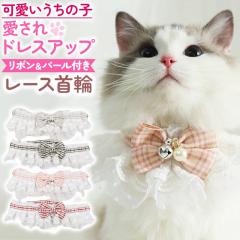 ���[�X��� �y�b�g ������� ���� ���킢�� ���S �y�� �y�� ���{�� �`�F�b�N �璹�i�q �p�[�� �� �� �z�� ���蕗 ���^�� ���^�� �L 