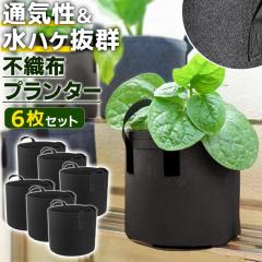 �͔|�� �s�D�z�v�����^�[ 6���Z�b�g ���| �ƒ�؉� �x�����_�؉� ����؉� ��� �� �t���[�c �n�[�u �A�ؔ� ������h�~ �ʋC�� �r���� �G