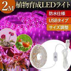 �A���琬���C�g LED ������� 2m �Ɩ� ���� �����͔| �����v �h�� USB �K�[�f�j���O ���|�p�i �e�[�v �H���s�v �\��t�� �ƒ�؉� �ȒP 