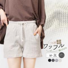 [pc fB[X 100 V[gpc [EFA 傫TCY  bt n  pW} t *y3-1t