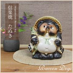 ���ʂ� �u�� ������ ���[�� �K5�����[�K(�I�X) ta-0070�M�y�� ������� �a�� ���� �y����z