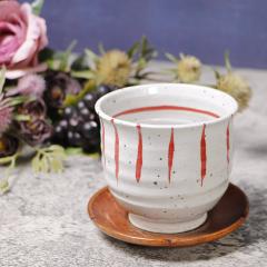 �M�y�� ���ۂ� 260ml�i�������j ���� ������� �ۉ� ���킢�� �a�H�� ���{�� ���o�� �J�b�v �H�� ���� �₫���� �R�b�v �Ă��� �� �X��(