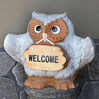 ���� �y���������z �\�D�ӂ��낤  �u�� ���O���ꂪ�o���܂� �� �t�N���E�M�y�� ������� �a���y����z