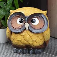 ���� �y���������z 10�������Y(��)!�� �ӂ��낤  �u�� �t�N���E �M�y�� ������� �a���y����z