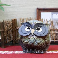 ���� �y���������z 5�������Y(��) �� �ӂ��낤  �u�� �t�N���E �ӂ��낤�M�y�� ������� �a���y����z