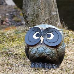 ���� �y���������z 9�������Y(��) �� �ӂ��낤  �u�� �t�N���E �ӂ��낤�M�y�� ������� �a���y����z