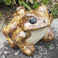 ���� �M�y�� �J�G�� �u�� ���N�� �J�G�� ���� ���֐� �^ �Ă����i�� �^ ������ �M�y�� ����a���y����z