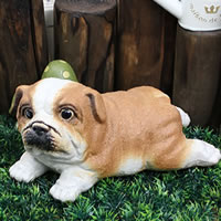 ���� �C�k�u�� �u���h�b�N�q��(��)�u���� �M�y�ău���h�b�O ���u�� ���ʂ₫���� �K�[�f�j���a���y����z