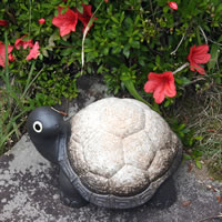 ���� �M�y�� ��9���T(��������)�����ɂ����v������T �M�y�Ă����N���̂��ߒu�� ok-0057�a���y����z