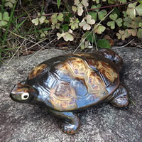 ���� 6�����T�������̒����E���^�ɂ����v���� ���ߒu���� �J��  ���N�� �����M�y�� ������� �a���y����z