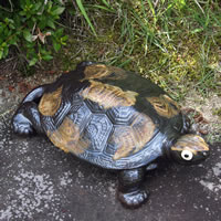 ���� 10�����T�������̒����E���^�ɂ����v���� ���ߒu���� �J��  ���N�� �����M�y�� ������� �a���y����z