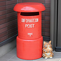 ���� �������g���ԃ|�X�g(��) ���O����� �X�֎� �V���� ���� �C���e���A �X�M�y�� ������� �a���y����z