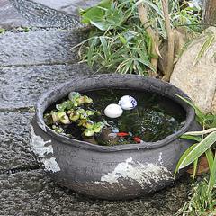 ���� 15���_�C������� ������� ���_�J���A �������ɂ��œK ���@�� �X�C������ �n�X�M�y�� ������� �a���y����z