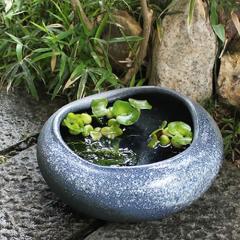 ���� 13���΂������ ������� ���_�J���A �������ɂ��œK ���@�� �X�C������ �n�X���M�y�� ������� �a���y����z