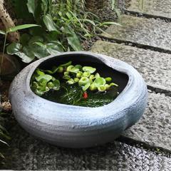 ���� 15����������� ������� ���_�J���A �������ɂ��œK ���@�� �X�C������ �n�X���M�y�� ������� �a���y����z