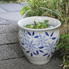 ���� 12���e�b�Z���G��Ђ˂萅�� ���_�J���A�������ɂ��œK ���@�� �X�C������ �n�X�� �M�y�� ������� �a���y����z