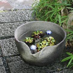 ���� ���_�J�� ������ ���@�� ���� �萅�� ������� �� �߂����� �n�X�� ���A�� �� �M�y�� ������� �a���y����z