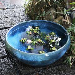 ���� �X�C������ ��^ ���� ���� �� ������ �߂����� ������� ���_�J�� �n�X�� �傫���M�y�� ������� �a���y����z