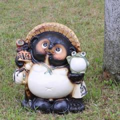 ���ʂ� �J�G�� �� 30cm �u�� ������ �K�M�y �M�y�� ������� �a�� ���� �y����z