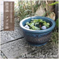 ���� 13���Ȃ܂��F���� ������� ���_�J���A �������ɂ��œK ���@�� �X�C������ �n�X���M�y�� ������� �a���y����z