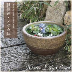 ���� ���@�� ���_�J�� �߂��� �� ������ ��^ ���_�J �r�I�g�[�v �߂����� ���� �n�X�� �M�y�� ������� �a���y����z