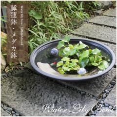 ���� 18�����n�P����^���� ���_�J���A�������ɂ��œK ���@�� �X�C������ �n�X�� �͂����M�y�� ������� �a���y����z