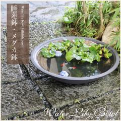 ���� ���@�� ��^ ���_�J�� ������ ���_�J �r�I�g�[�v �߂����� ���� �n�X�� ���A�� �M�y�� ������� �a���y����z