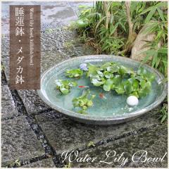 ���� ���@�� ���_�J�� ������ ��^ ���_�J �r�I�g�[�v �߂����� ���� �n�X�� ���A�� �M�y�� ������� �a���y����z