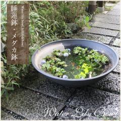 ���� 30�����n�P����^���� ���_�J���A�������ɂ��œK ���@�� �X�C������ �n�X�� �͂����M�y�� ������� �a���y����z